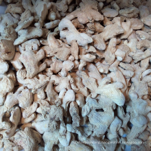 Manufacturer directly supply purity natural new bulk ginger powder